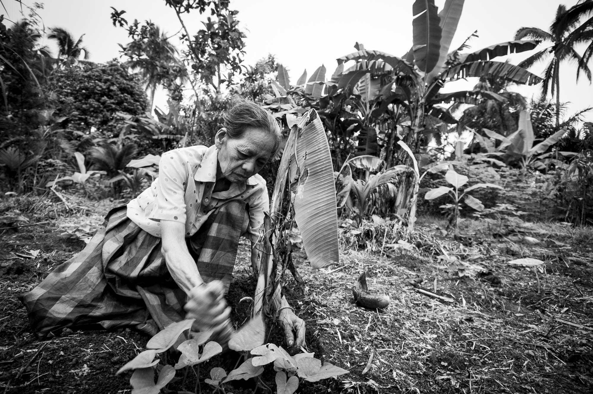 Fotograaf Jurgen Doom - reportage Filipijnen Davao Sibulan Ecologische bananen