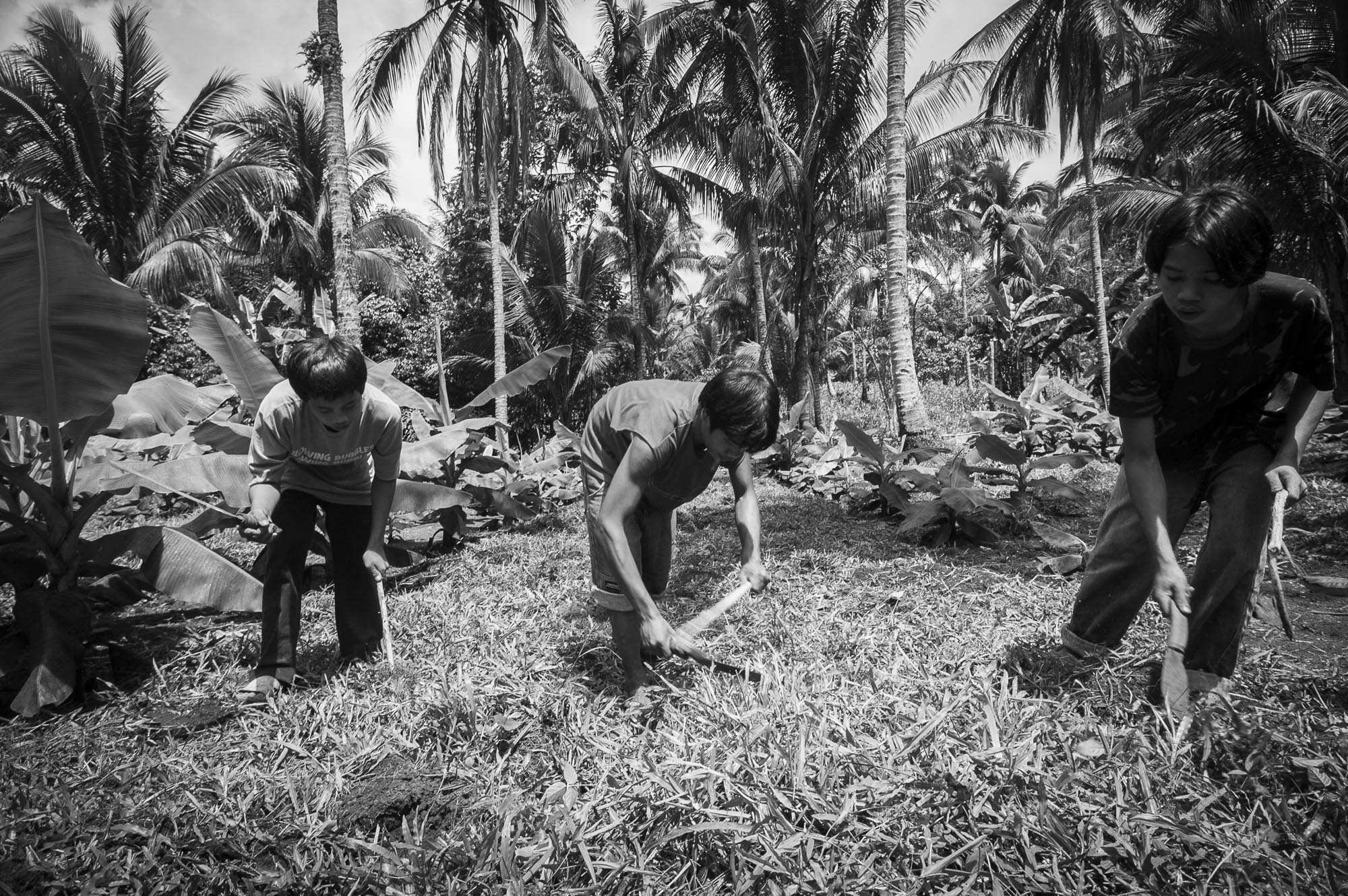 Fotograaf Jurgen Doom - reportage Filipijnen Davao Sibulan Ecologische bananen